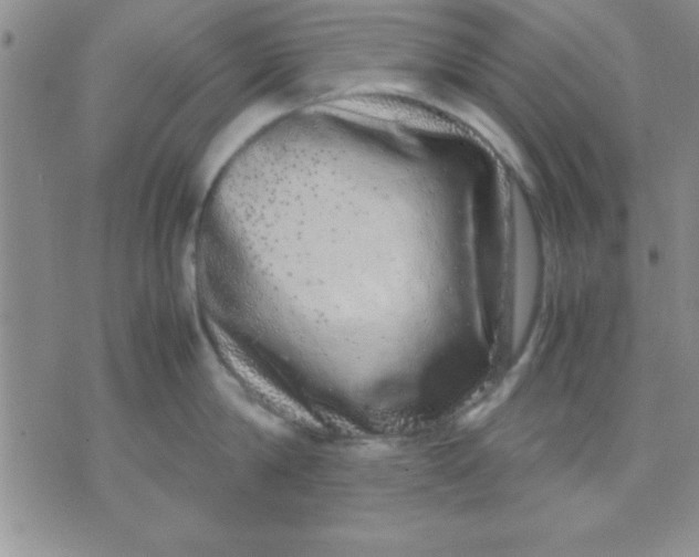 X0000071950814200607282007