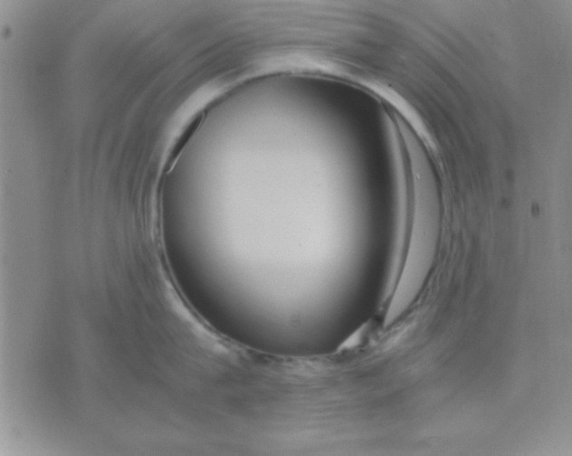 X0000071950815200607282007