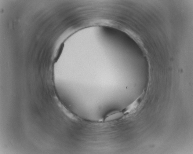 X0000071950816200607282007