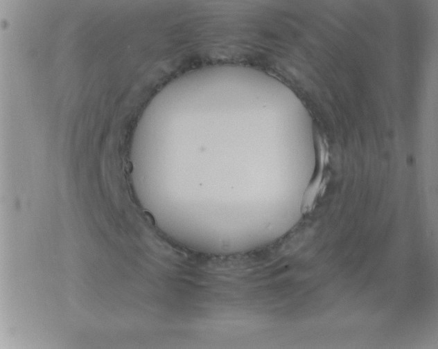 X0000071950817200607282006