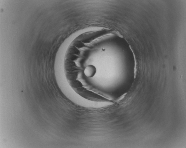 X0000071950818200607282006