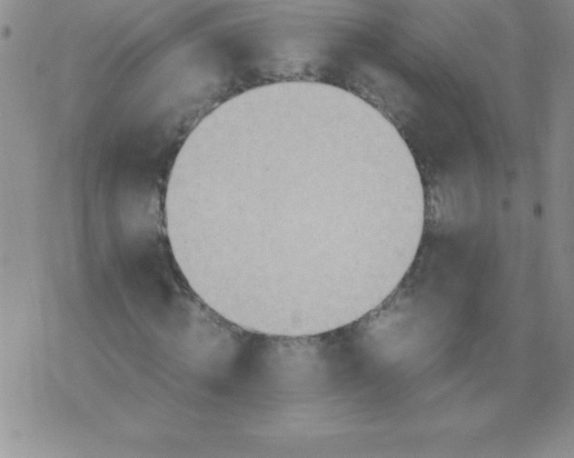 X0000071950820200607282006