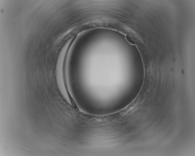 X0000071950822200607282006