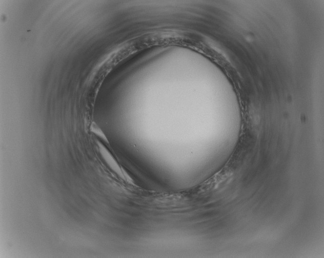 X0000071950823200607282006