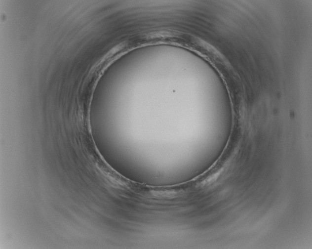 X0000071950825200607282006