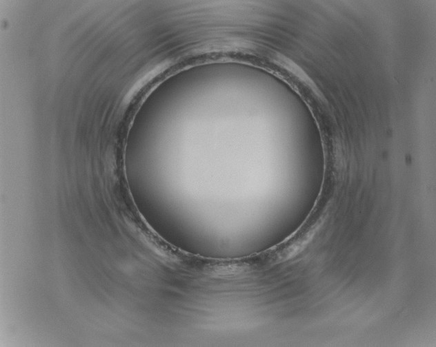 X0000071950826200607282006