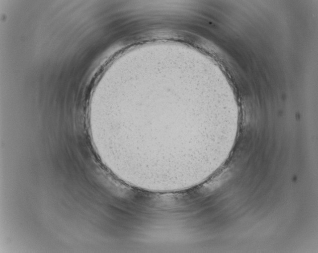 X0000071950828200607282006