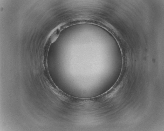 X0000071950830200607282006