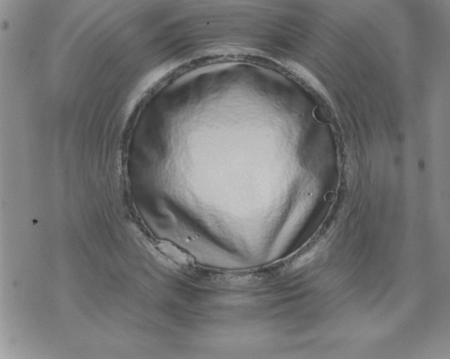 X0000071950831200607282006