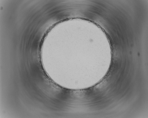 X0000071950832200607282006