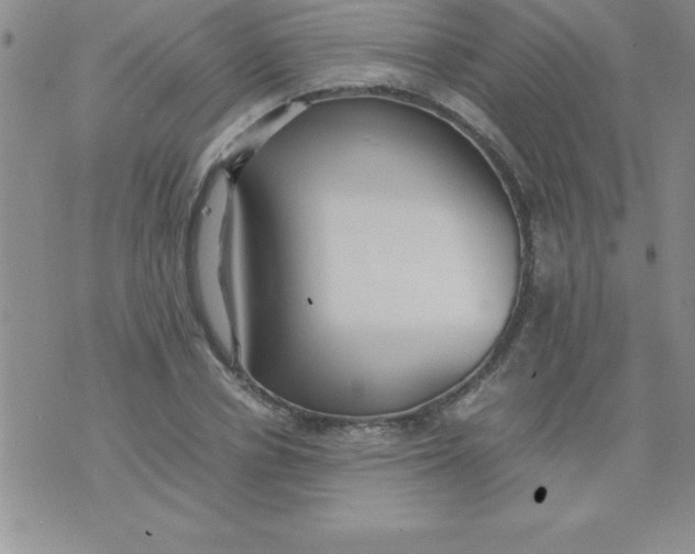 X0000071950834200607282006