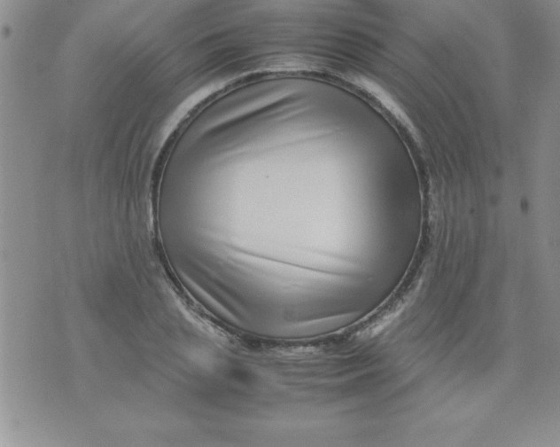 X0000071950837200607282006