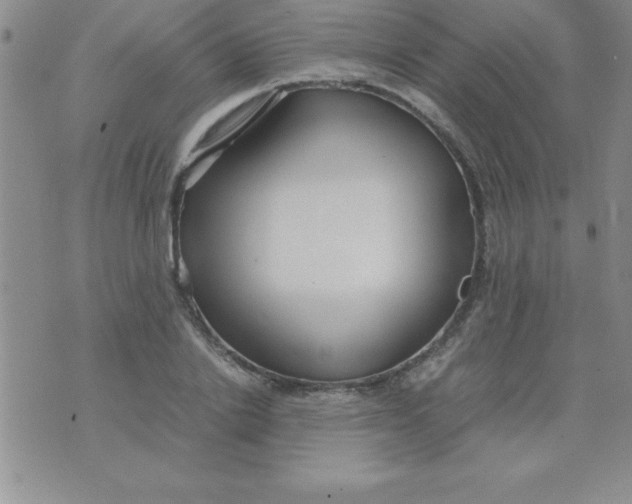 X0000071950838200607282006