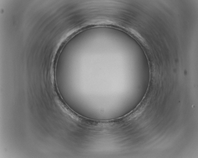 X0000071950840200607282006