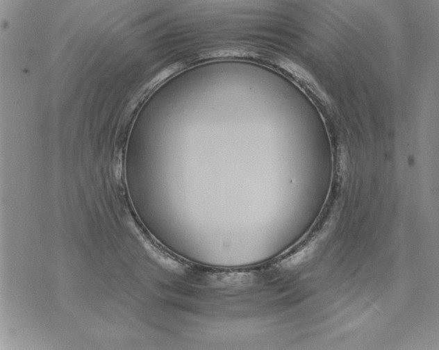 X0000071950841200607282006