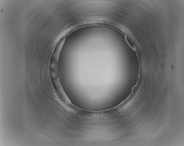 X0000071950842200607282006