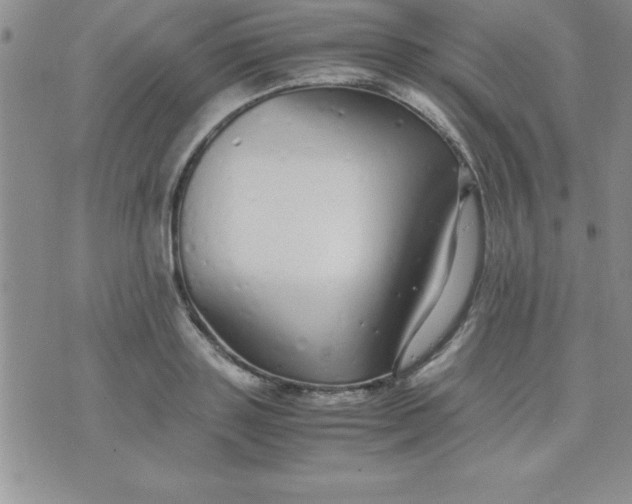 X0000071950843200607282006