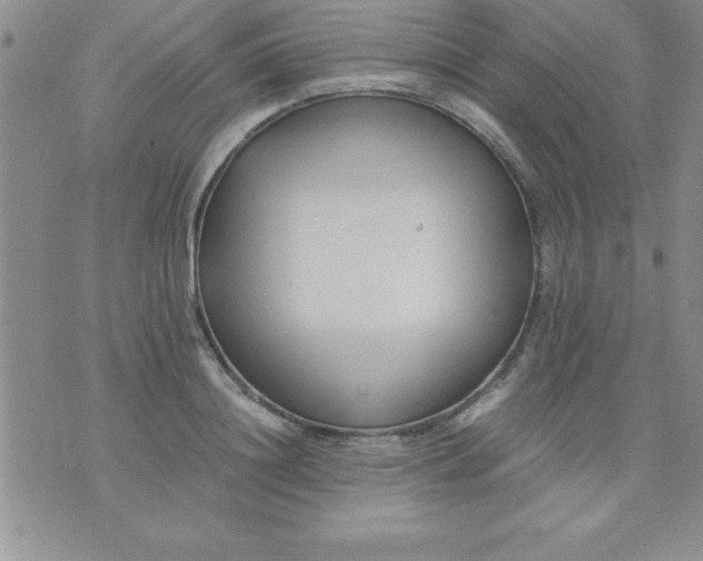 X0000071950844200607282006