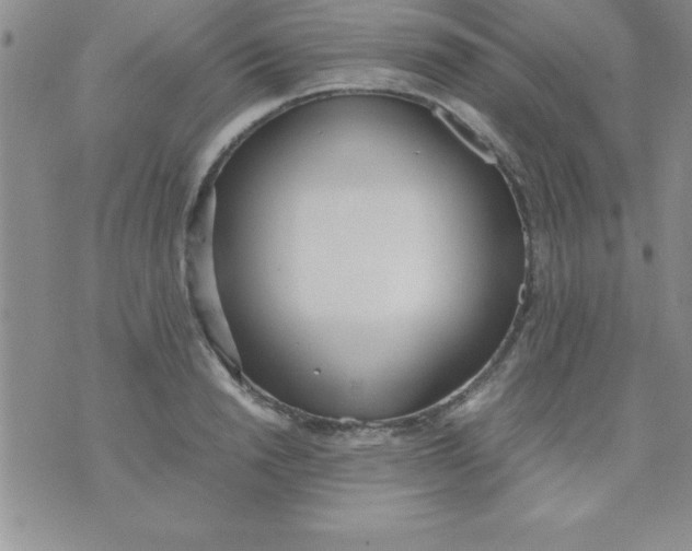 X0000071950846200607282006