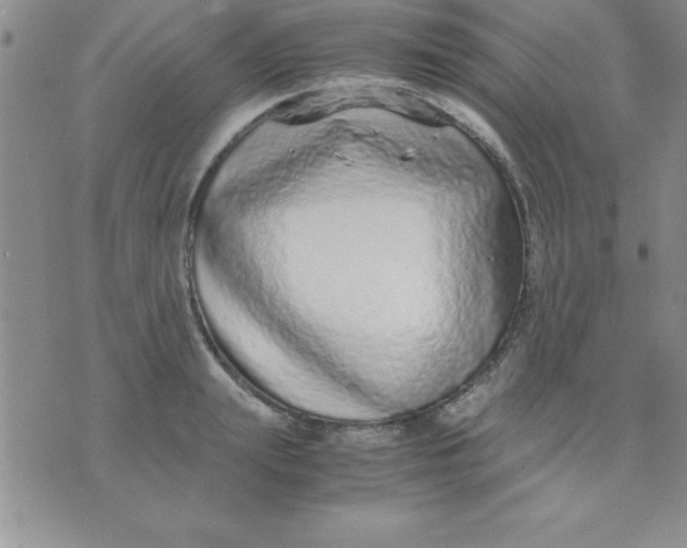 X0000071950847200607282006