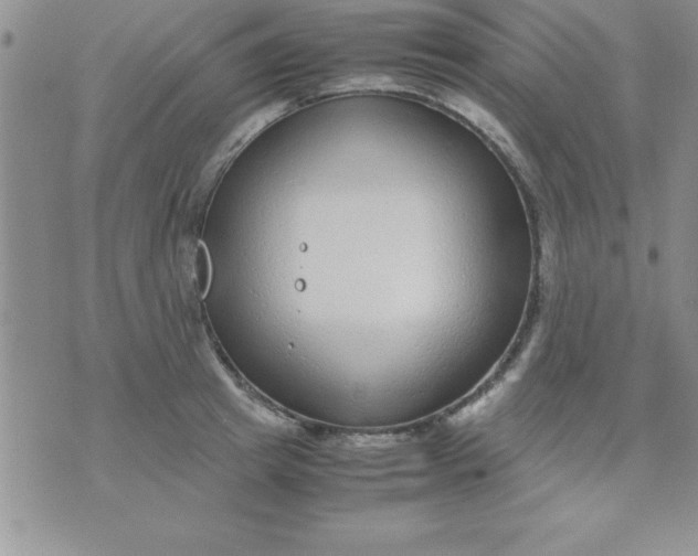 X0000071950849200607282006