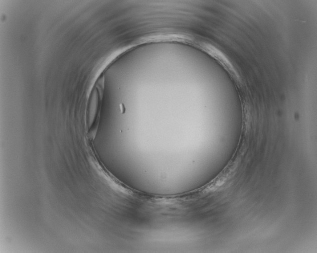 X0000071950852200607282006