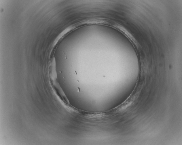 X0000071950853200607282006