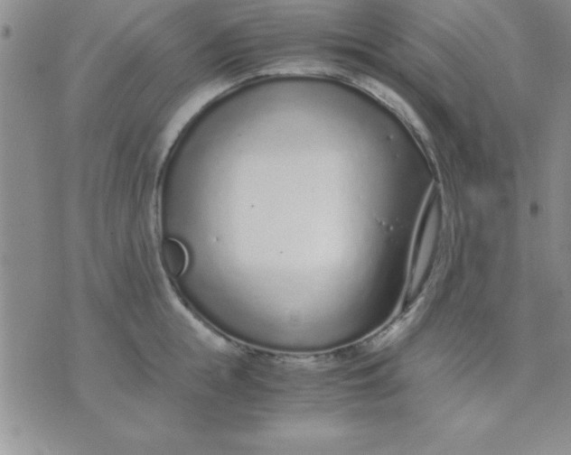 X0000071950855200607282006