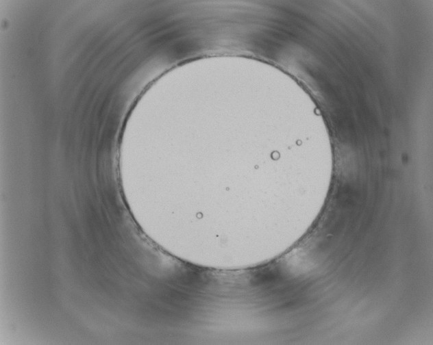 X0000071950856200607282006