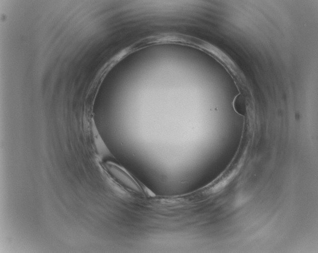 X0000071950857200607282006