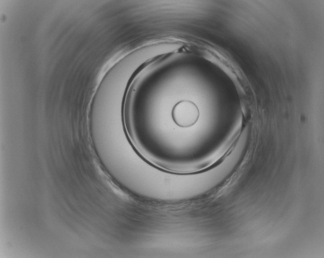 X0000071950858200607282006