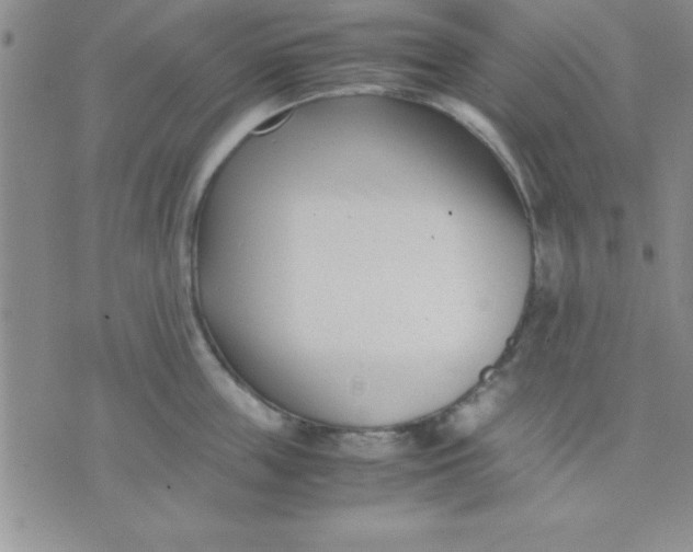 X0000071950859200607282006