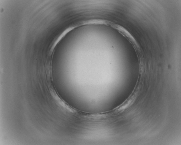 X0000071950860200607282006