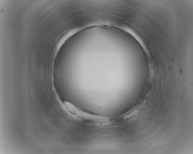 X0000071950861200607282006