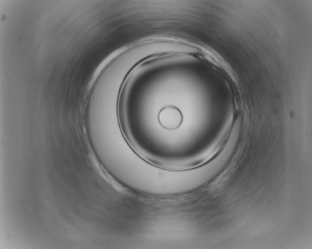 X0000071950862200607282006