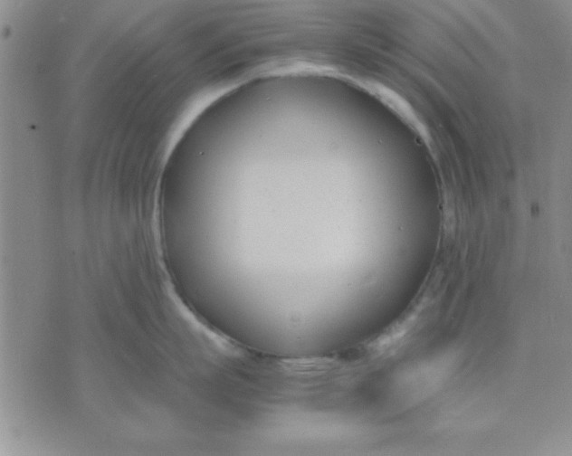 X0000071950863200607282007