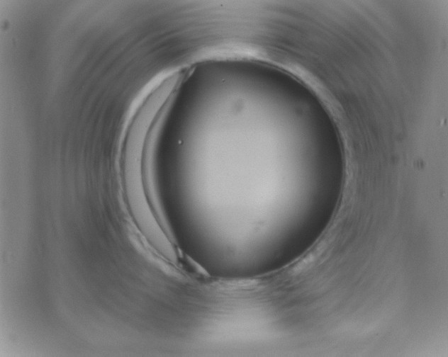 X0000071950864200607282007