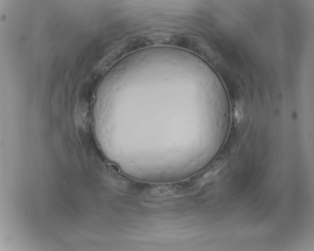 X0000071950867200607282006