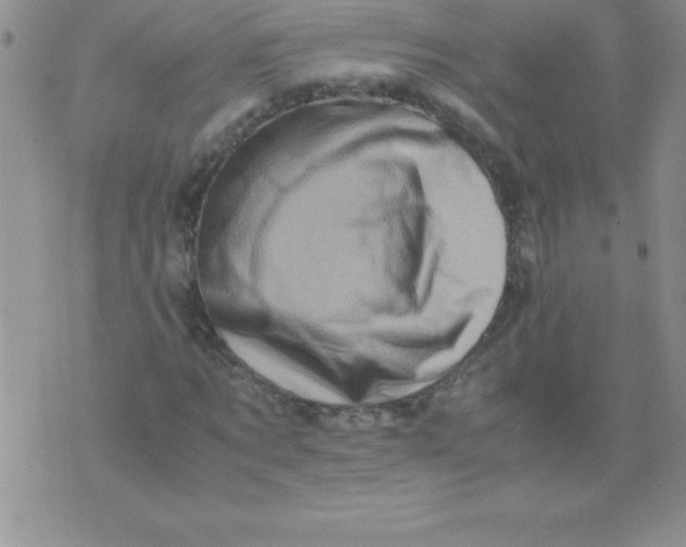 X0000071950869200607282006