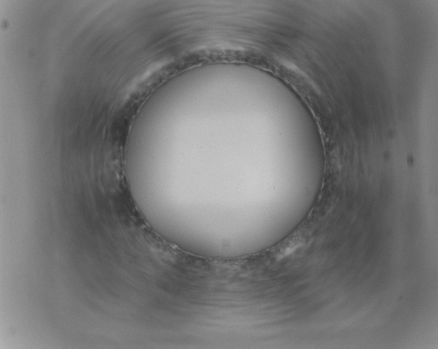 X0000071950870200607282006