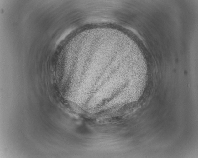 X0000071950871200607282006