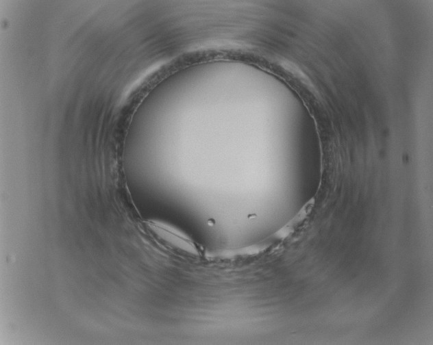 X0000071950872200607282006