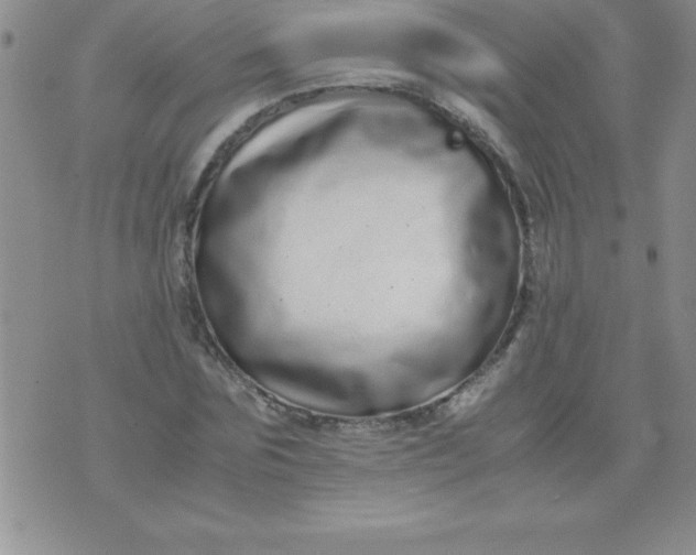 X0000071950875200607282006