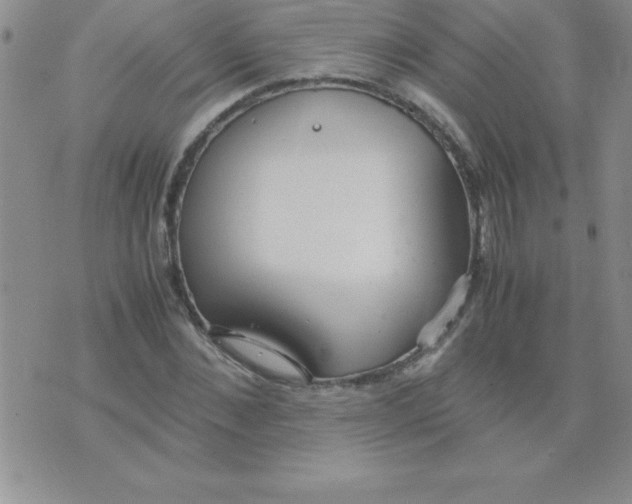 X0000071950876200607282006