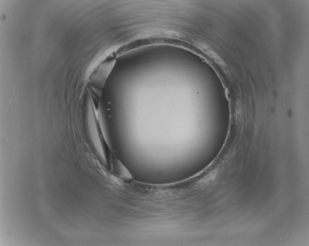 X0000071950877200607282006