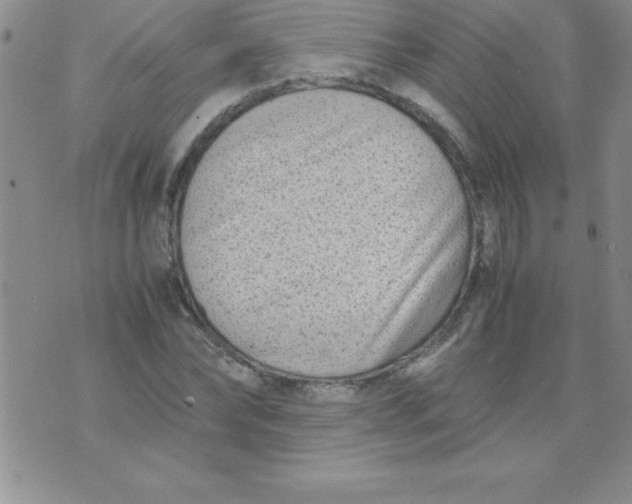 X0000071950878200607282006