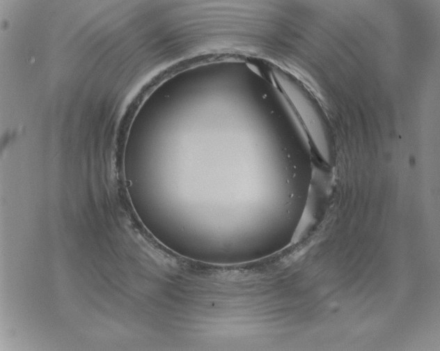 X0000071950880200607282006