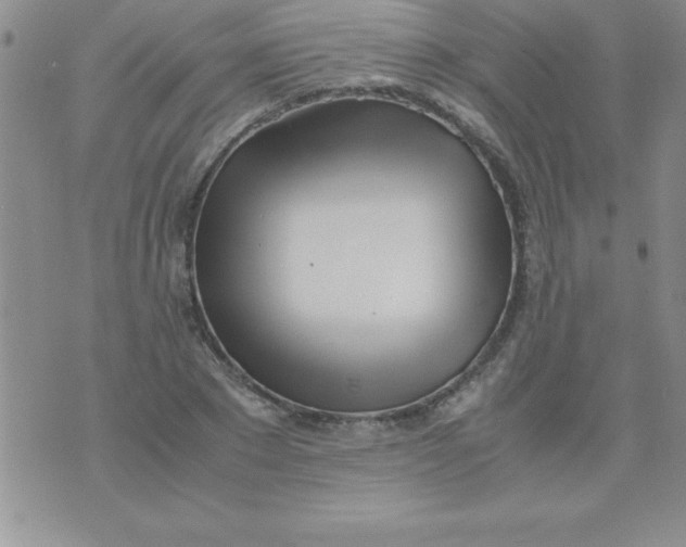 X0000071950881200607282005