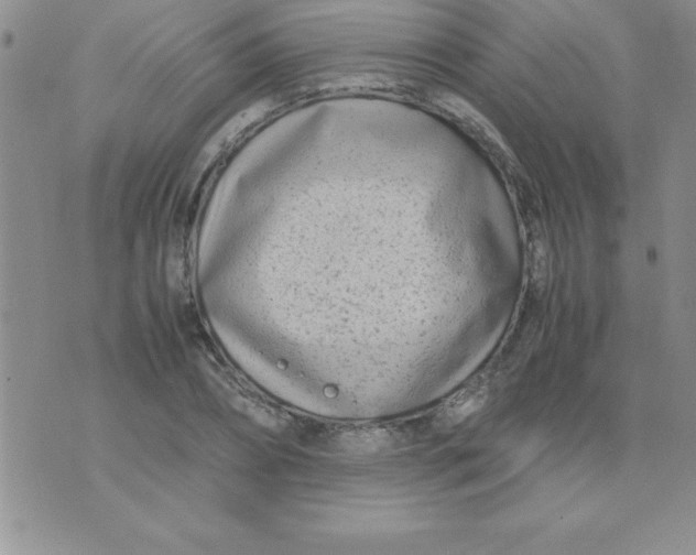 X0000071950882200607282005