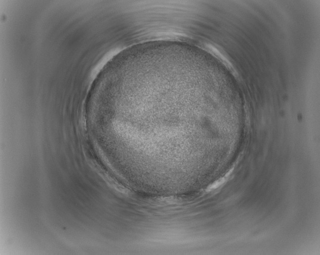 X0000071950883200607282005